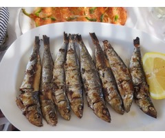 Ακρογιάλι